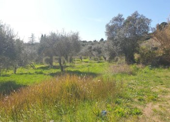 1.jpg - Terreno agricolo Via del Romitorio 71, Mentana - foto 1