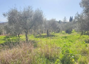 2.jpg - Terreno agricolo Via del Romitorio 71, Mentana - foto 2