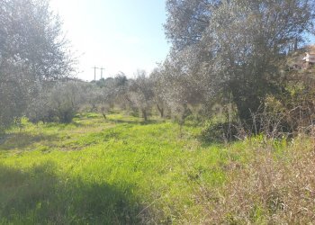 3.jpg - Terreno agricolo Via del Romitorio 71, Mentana - foto 3