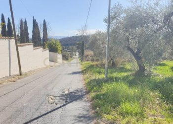 5.jpg - Terreno agricolo Via del Romitorio 71, Mentana - foto 5