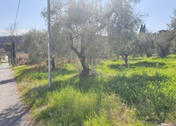 6.jpg - Terreno agricolo Via del Romitorio 71, Mentana - foto 6