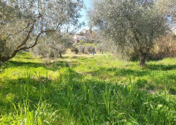 10.jpg - Terreno agricolo Via del Romitorio 71, Mentana - foto 10