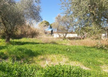 11.jpg - Terreno agricolo Via del Romitorio 71, Mentana - foto 11