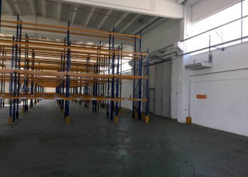 scaffalatura - Shed strada Roveri, Pozzolo Formigaro - photo 11