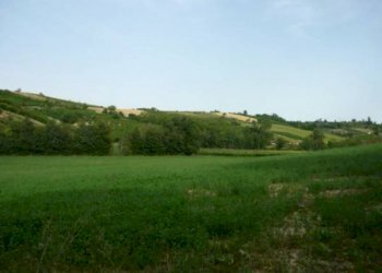 INTERA PROPRIETA\' - Rustico strada SORLINO, 1, Tortona - foto 2
