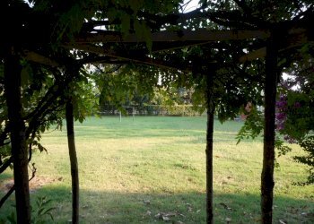 GIARDINO - Capannone via 1 Maggio, Viguzzolo - foto 10