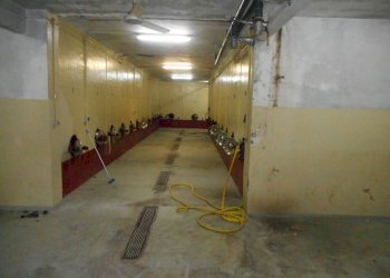 CANTINA CAPANNONE - Capannone via 1 Maggio, Viguzzolo - foto 1