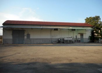 CAPANNONE - Capannone via 1 Maggio, Viguzzolo - foto 4