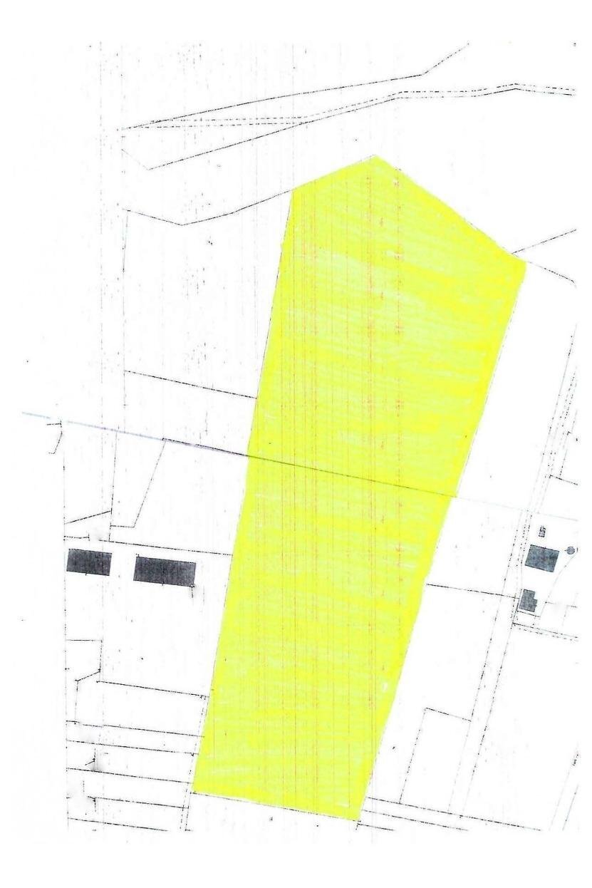 Terreno agricolo Cassano Spinola - planimetria 1