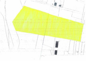 TERRENO A CORPO UNICO - Terreno agricolo Cassano Spinola - foto 1