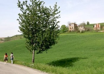 PERCOSI PER PASSEGGIATE - Terreno edificabile strada Provinciale, 7, Brignano-Frascata - foto 7