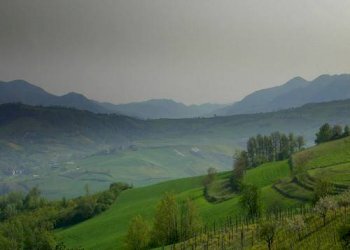 COLLINE VAL CURONE - Terreno edificabile strada Provinciale, 7, Brignano-Frascata - foto 8