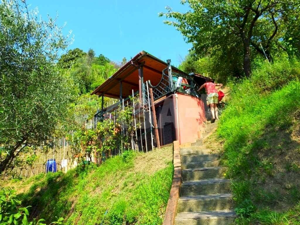 Rustic Monte grosso, Lerici - photo 1