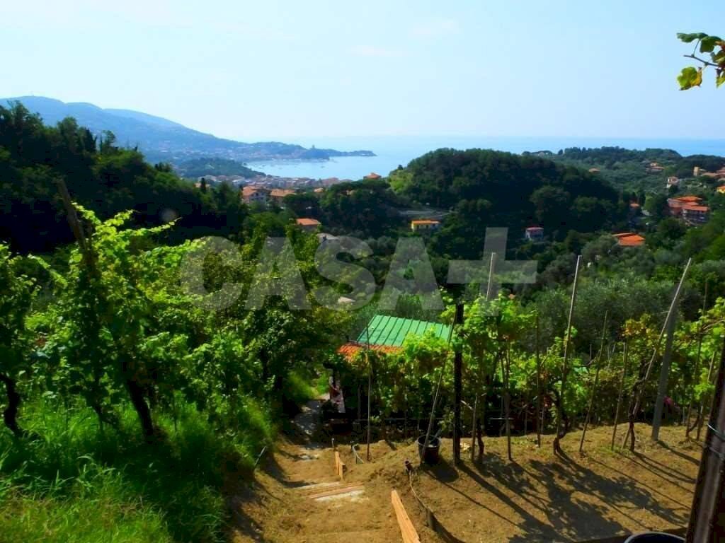Rustic Monte grosso, Lerici - photo 2