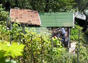 Rustico Monte grosso, Lerici - foto 8