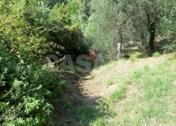 Rustico Monte grosso, Lerici - foto 14