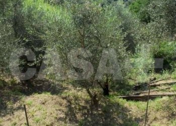 Rustico Monte grosso, Lerici - foto 15