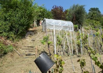 Rustico Monte grosso, Lerici - foto 17