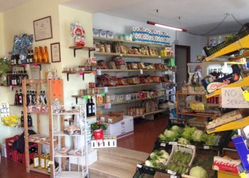 Alimentari - Gastronomia via Roma, Cremolino - foto 3