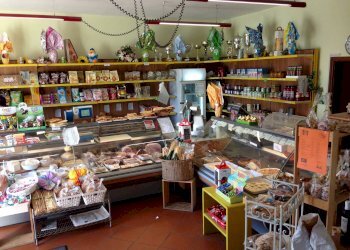 Alimentari - Gastronomia via Roma, Cremolino - foto 5