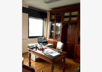 Capannone Capannone in vendita, Silvano D'Orba, Silvano d'Orba - foto 2