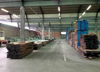 Capannone Capannone in vendita, Silvano D'Orba, Silvano d'Orba - foto 4