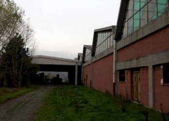 Capannone Capannone in vendita, Silvano D'Orba, Silvano d'Orba - foto 6