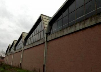 Capannone Capannone in vendita, Silvano D'Orba, Silvano d'Orba - foto 7