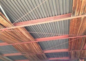 Capannone Capannone in vendita, Silvano D'Orba, Silvano d'Orba - foto 10