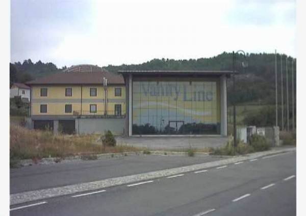 Capannone Capannone in vendita via Pernigotti, Belforte Monferrato, Belforte Monferrato - foto 3