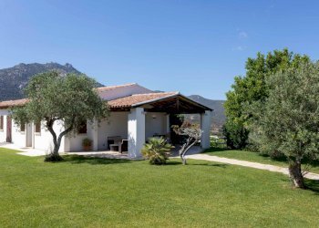 Giardino - Villa Località Cugnana Verde, Olbia - foto 16