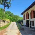 Agricultural land Cortemilia - photo 3