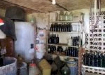 Agricultural land Cortemilia - photo 21