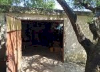 Agricultural land Cortemilia - photo 24