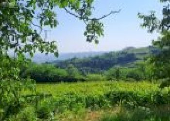 Agricultural land Cortemilia - photo 25