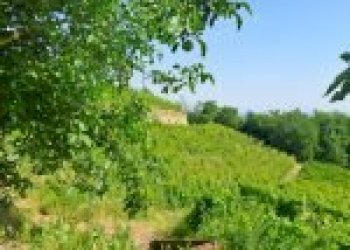 Agricultural land Cortemilia - photo 26