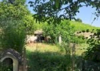 Agricultural land Cortemilia - photo 27