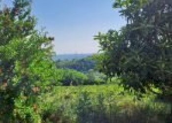 Agricultural land Cortemilia - photo 28