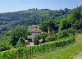 Agricultural land Cortemilia - photo 31