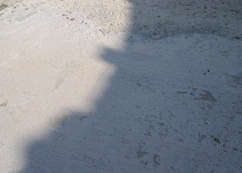 IMG_20210310_094940.jpg - Casa semi indipendente Via vercalda 1, Fosdinovo - foto 14