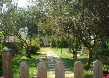 Villa Savona - foto 12