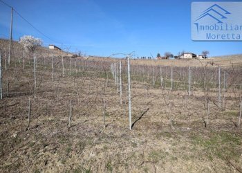 Rustic corso Acqui 116, Nizza Monferrato - photo 7