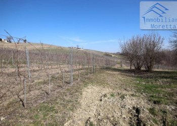 Rustic corso Acqui 116, Nizza Monferrato - photo 8