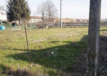 Terreno edificabile Ferrara - foto 2