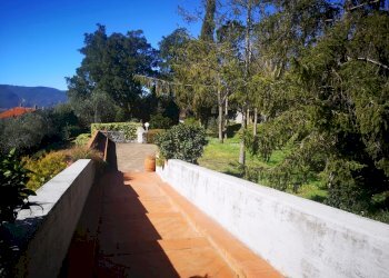 IMG_20210315_102004.jpg - Villa Via Montecchio 70, Castelnuovo Magra - foto 8