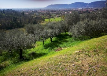 IMG_20210315_104010.jpg - Villa Via Montecchio 70, Castelnuovo Magra - foto 17