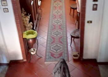 1615809656293.jpg - Villa Via di S.Donato, Lucca - foto 1