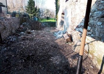 1615809656543.jpg - Villa Via di S.Donato, Lucca - foto 28