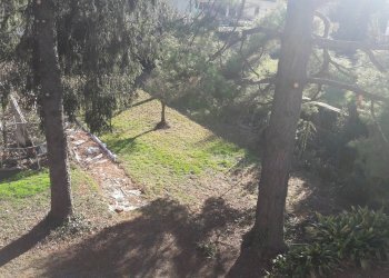 Villa a Schiera Cairate - foto 10