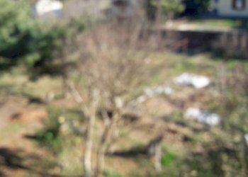 Villa a Schiera Cairate - foto 12